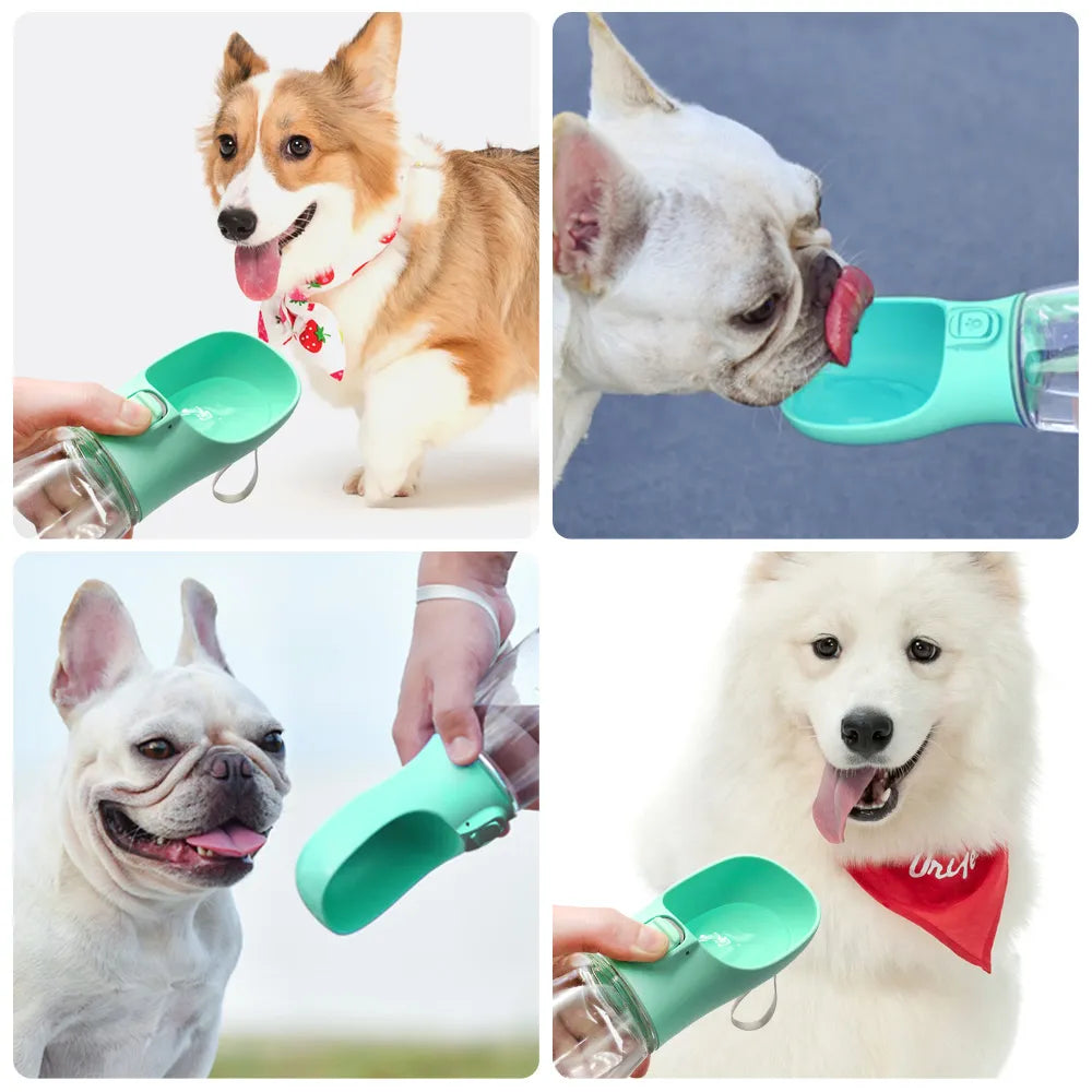 PetSmart - Portable Pet Water Bottle